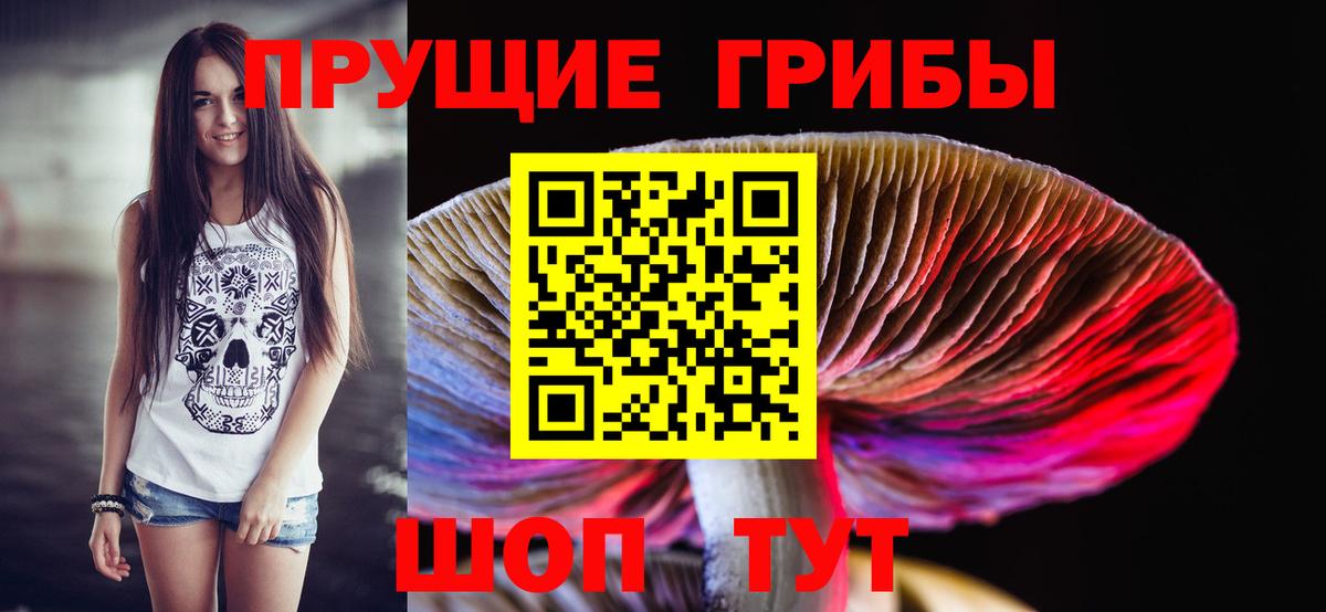 Чебаркуль  Галлюциногенные грибы мицелий  Псилоцибиновые грибы прущие грибы  Вход с VPN 